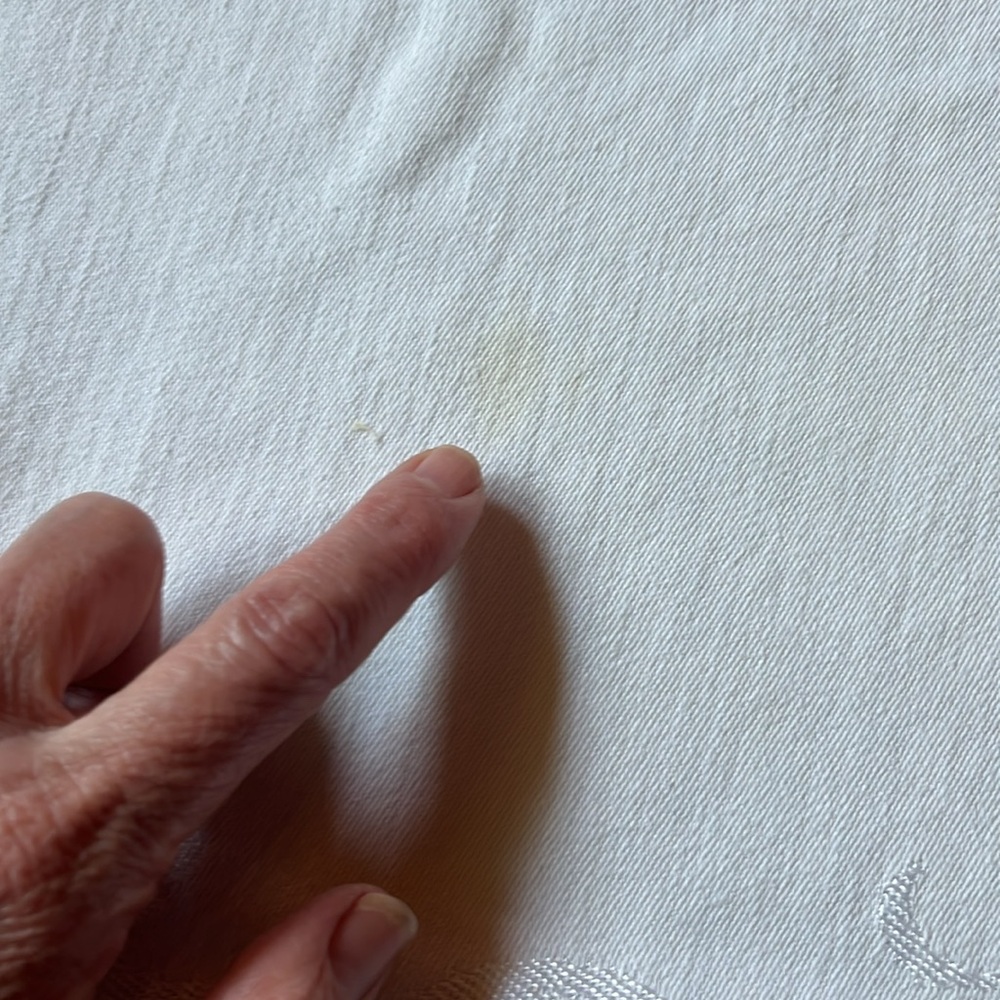 Vintage White Tablecloth - Picture 6 of 12